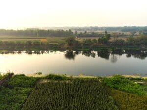 Apartment View